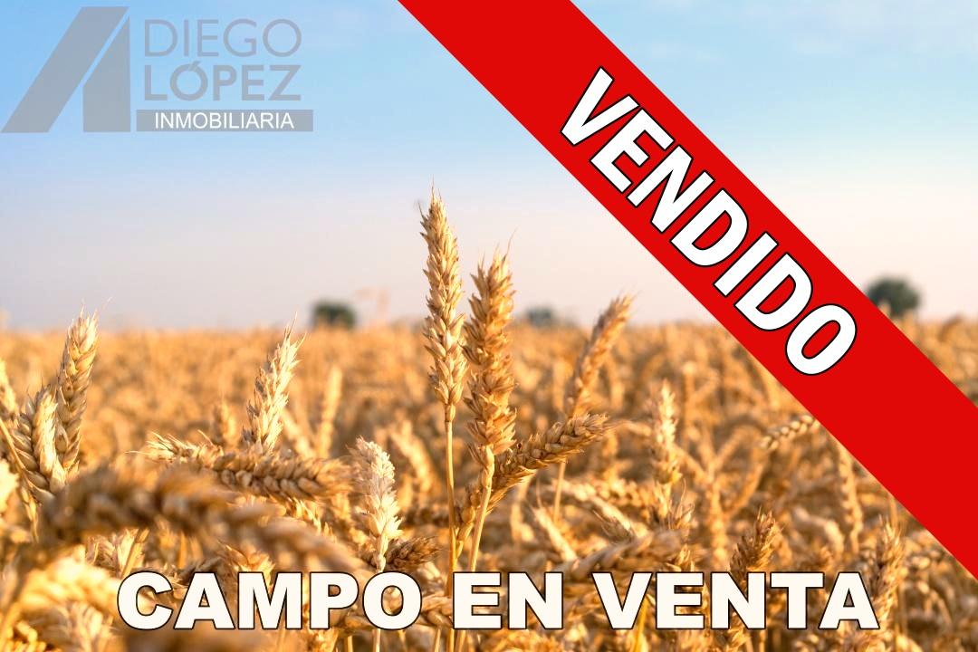 CAMPO EN VENTA 27 Ha CUARTEL XII