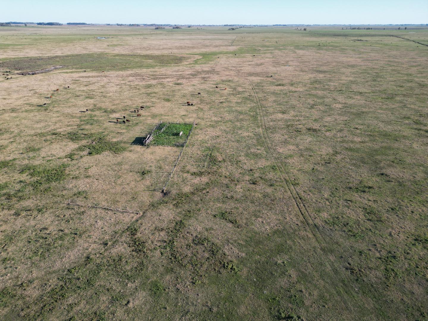 CAMPO GANADERO EN VENTA .115 ha