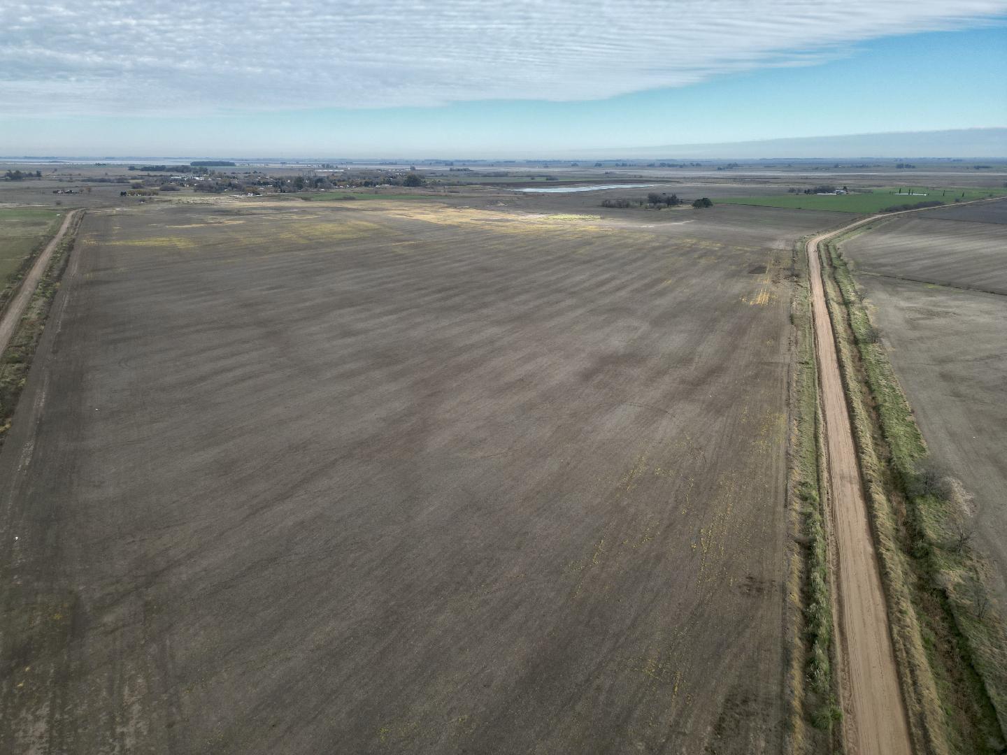 CAMPO EN VENTA 85 HA EN JUNIN CUARTEL III