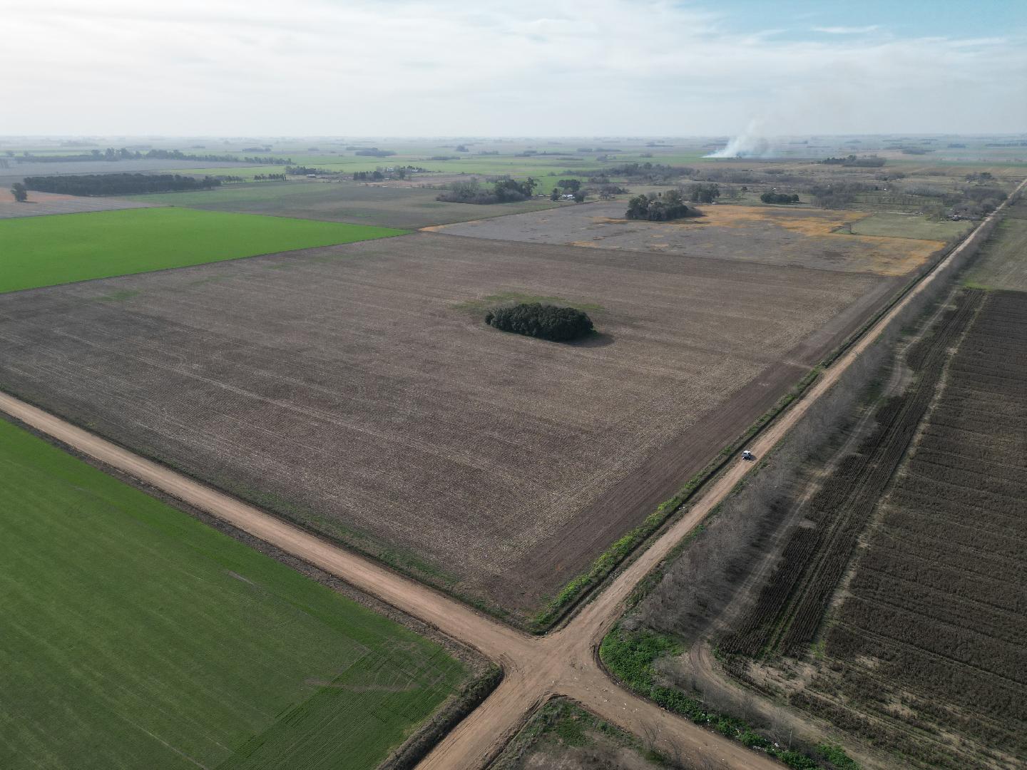 CAMPO EN VENTA UBICADO EN EL CUARTEL VX JUNIN. 55 ha.