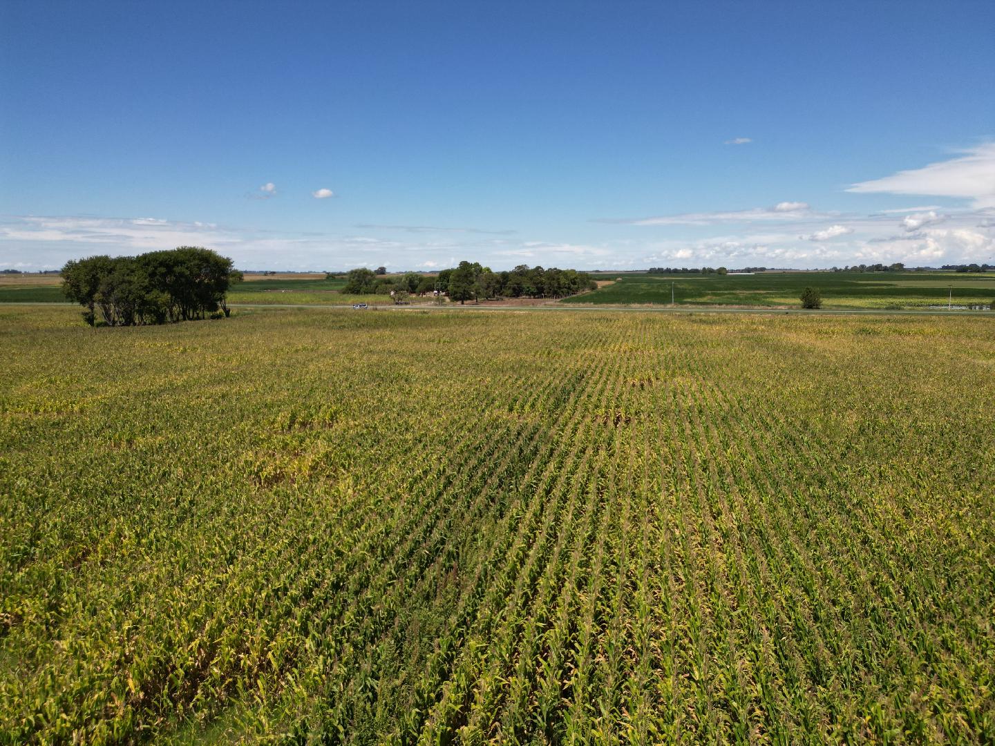 Campo sobre ruta 188