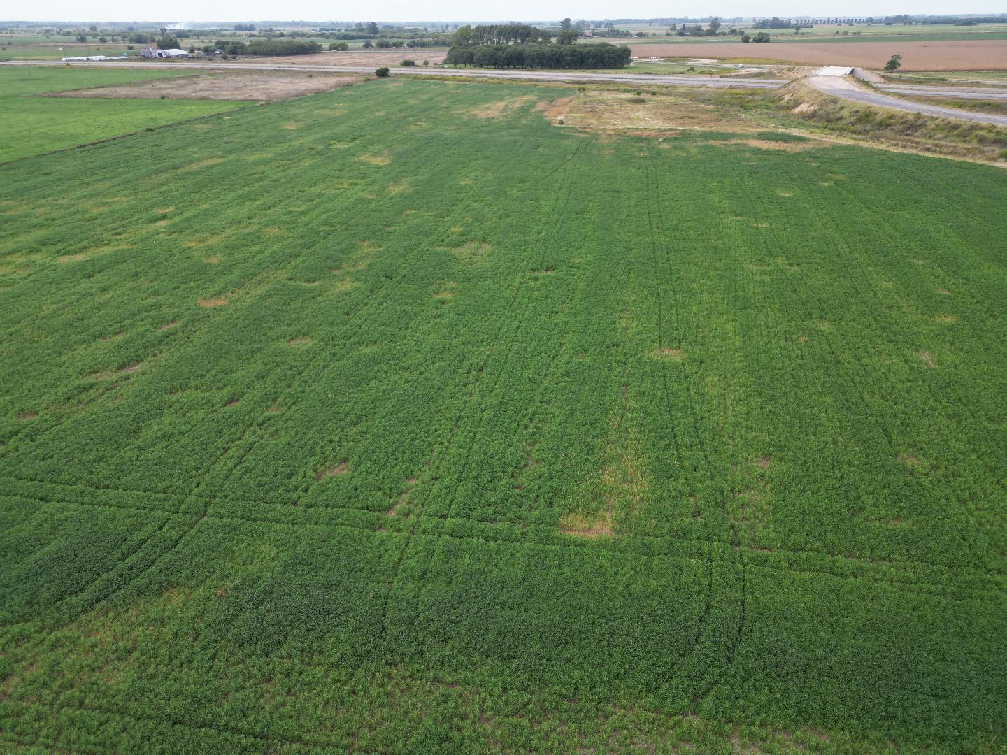 Chacra 10 hectáreas.