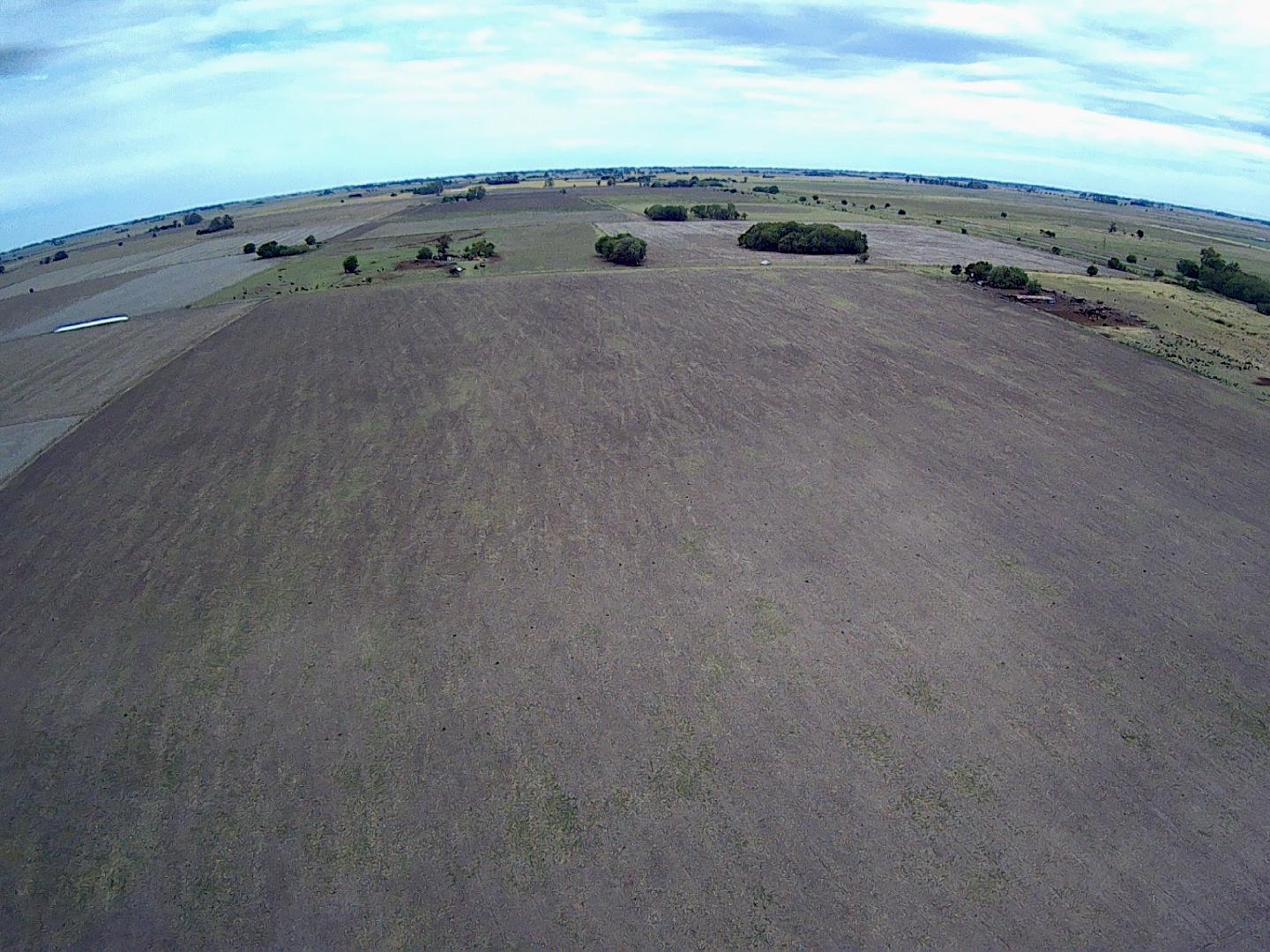 CAMPO EN VENTA 28 HECTÁREAS. CUARTEL VII