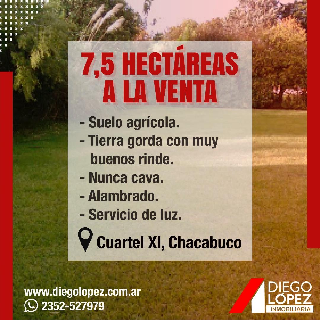 EN VENTA | QUINTA DE 7,5 HECTAREAS AGRICOLAS