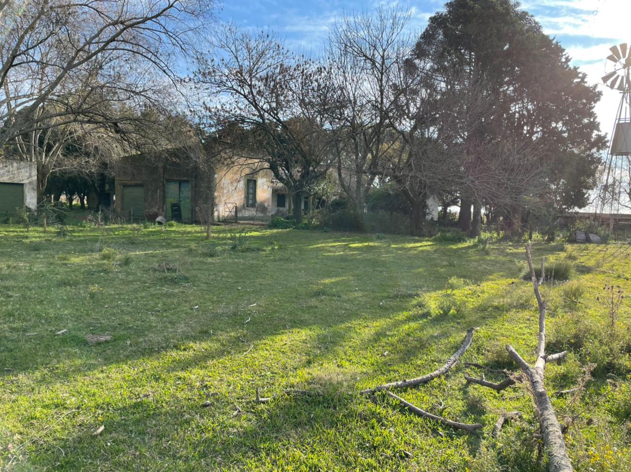 EN VENTA | CAMPO MIXTO DE 17 HECTÁREAS 