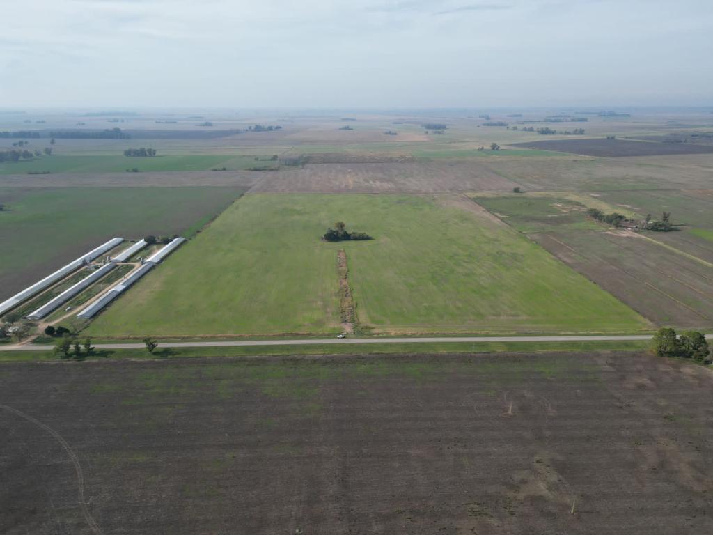 CAMPO AGRÍCOLA -VENTA INES INDART (SALTO)