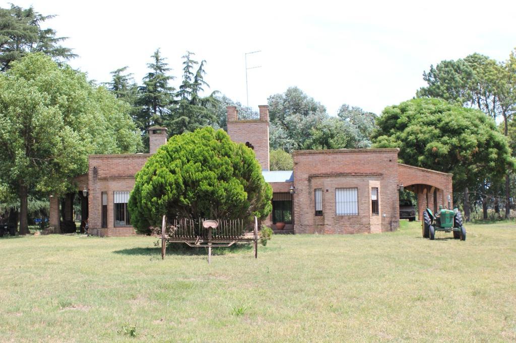 CAMPO EN VENTA CUARTEL VII JUNIN  196 HA MIXTAS