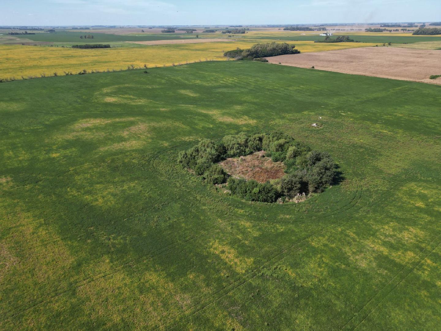 EN VENTA/ CAMPO 60 HECTÁREAS.